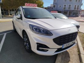 WhatsApp Image 2025 11 10 at 12.18.42 (3)