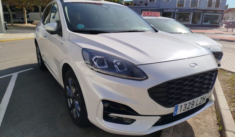 WhatsApp Image 2025 11 10 at 12.18.42 (3)