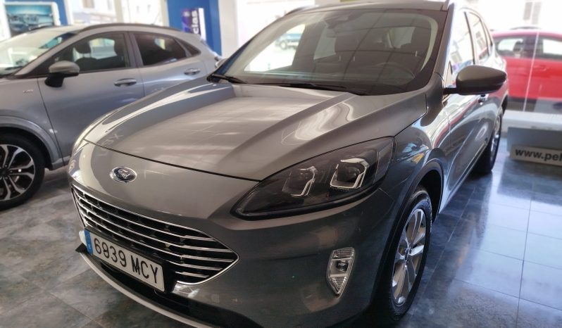 WhatsApp Image 2026 03 25 at 16.13.37