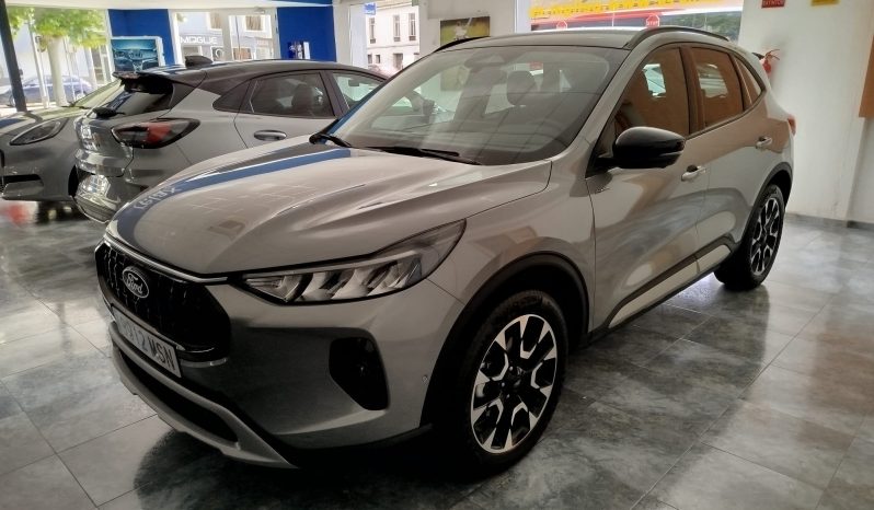 WhatsApp Image 2026 04 22 at 16.29.51 (1)